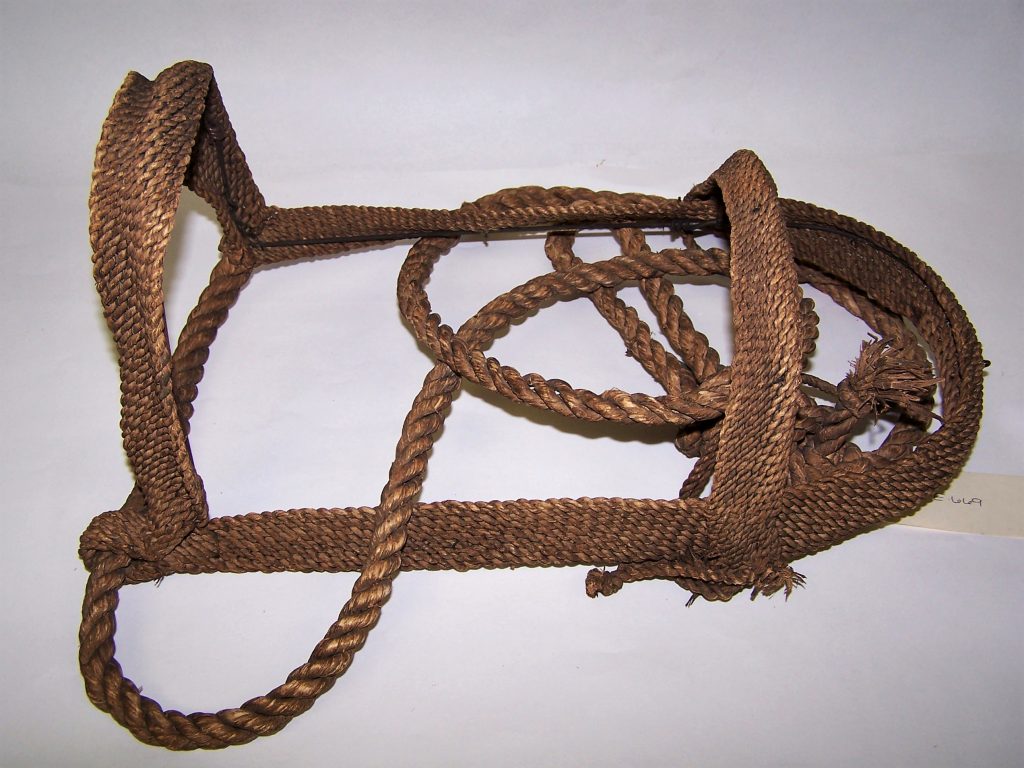 Nicaraguan Bridle