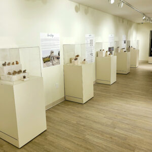 Exhibit gallery