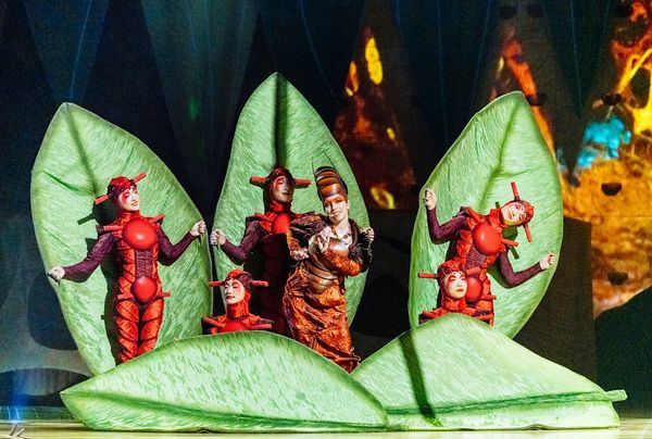 Cirque du Soleil’s OVO dazzles and delights at the Royal Albert Hall – review