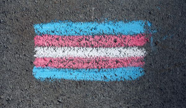 European Parliament backs landmark solution affirming that trans women are women