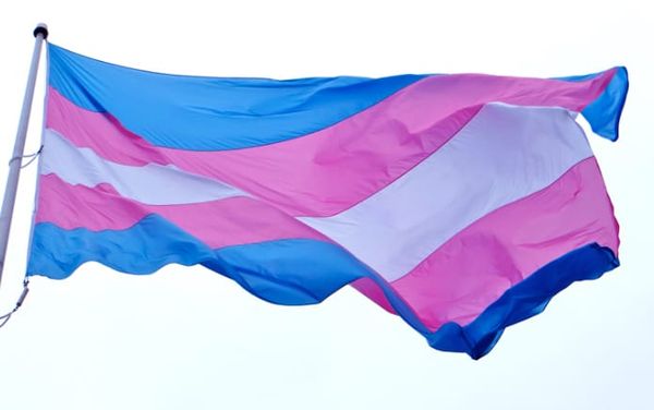 New report reveals regressions in human rights for trans people in Europe and Central Asia