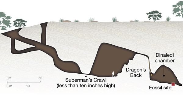 Dinaledi Chamber diagram